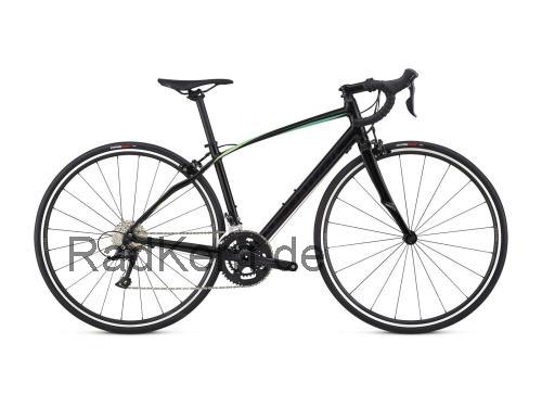 Specialized Dolce EVO  technische daten 